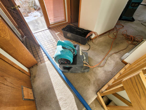 Best Flood restoration services  in New Rockford, ND