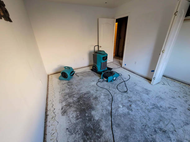 Best Local water damage restoration  in New Rockford, ND