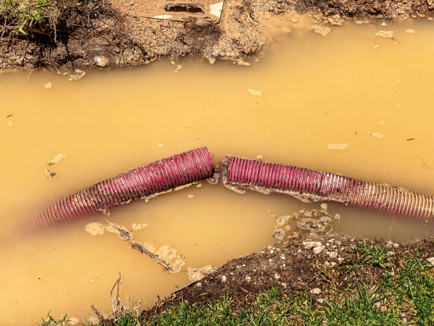 Best Basement water damage restoration  in New Rockford, ND