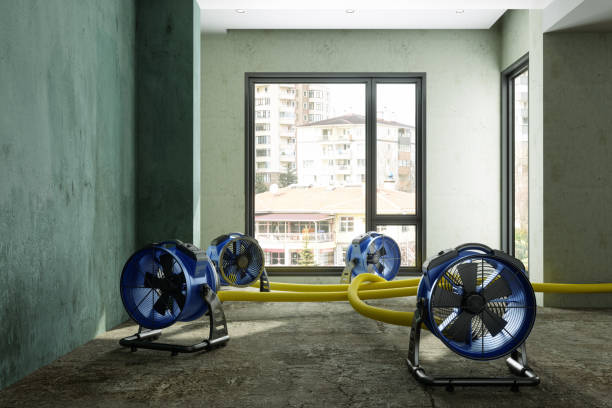 Best Sewage cleanup and water damage restoration  in New Rockford, ND